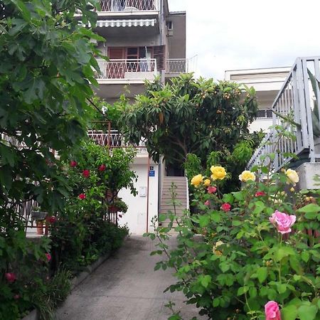 Apartman Adriatic Pavlinovic - Makarská Exteriér fotografie