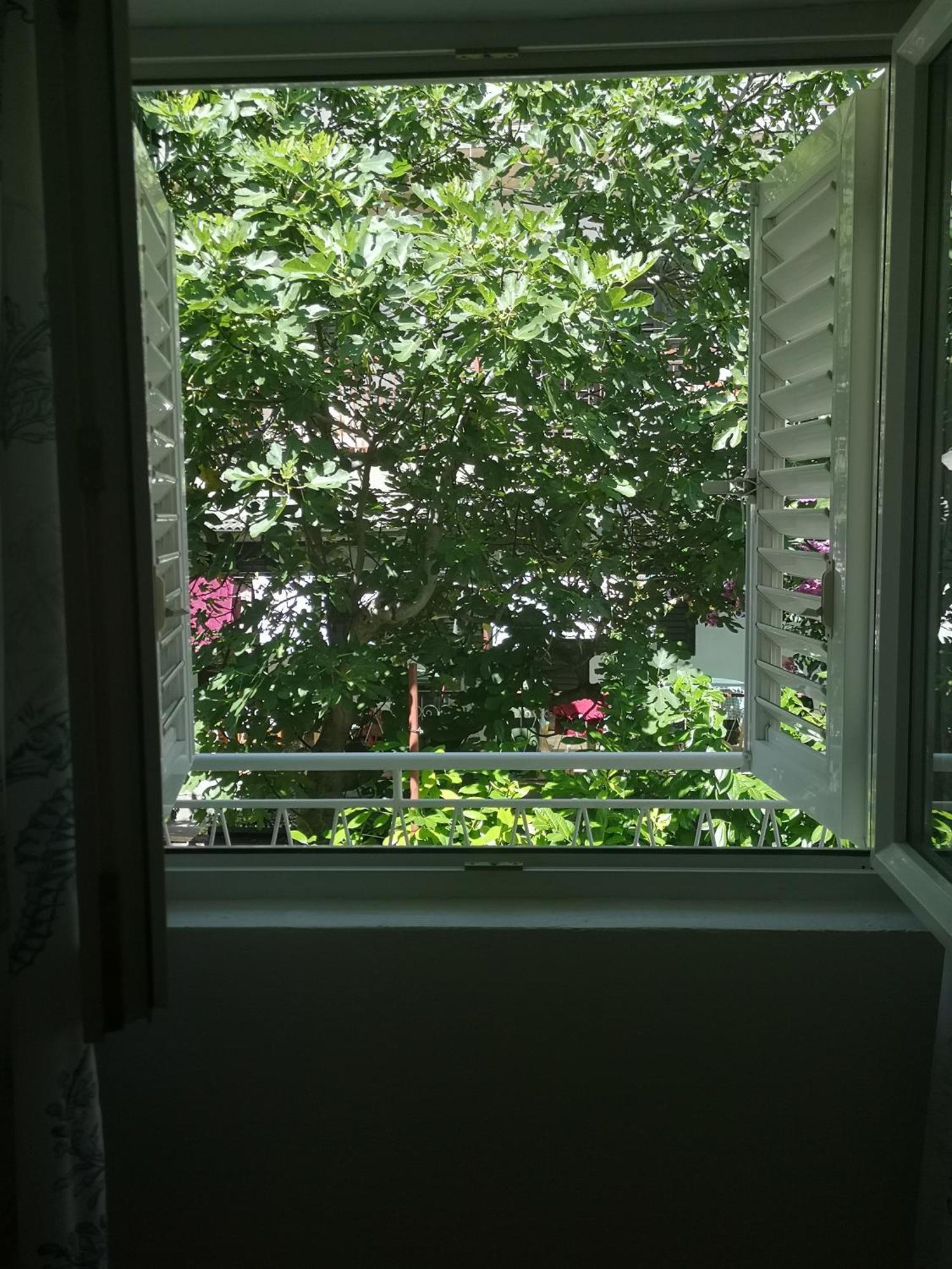 Apartman Adriatic Pavlinovic - Makarská Exteriér fotografie