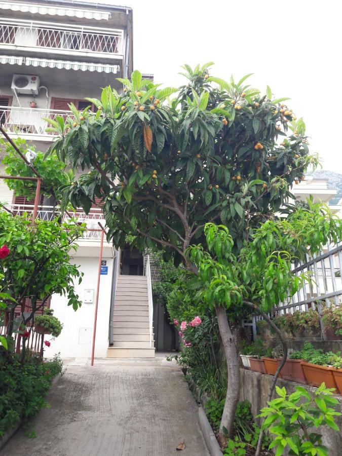 Apartman Adriatic Pavlinovic - Makarská Exteriér fotografie