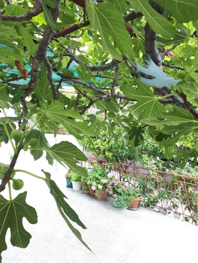 Apartman Adriatic Pavlinovic - Makarská Exteriér fotografie